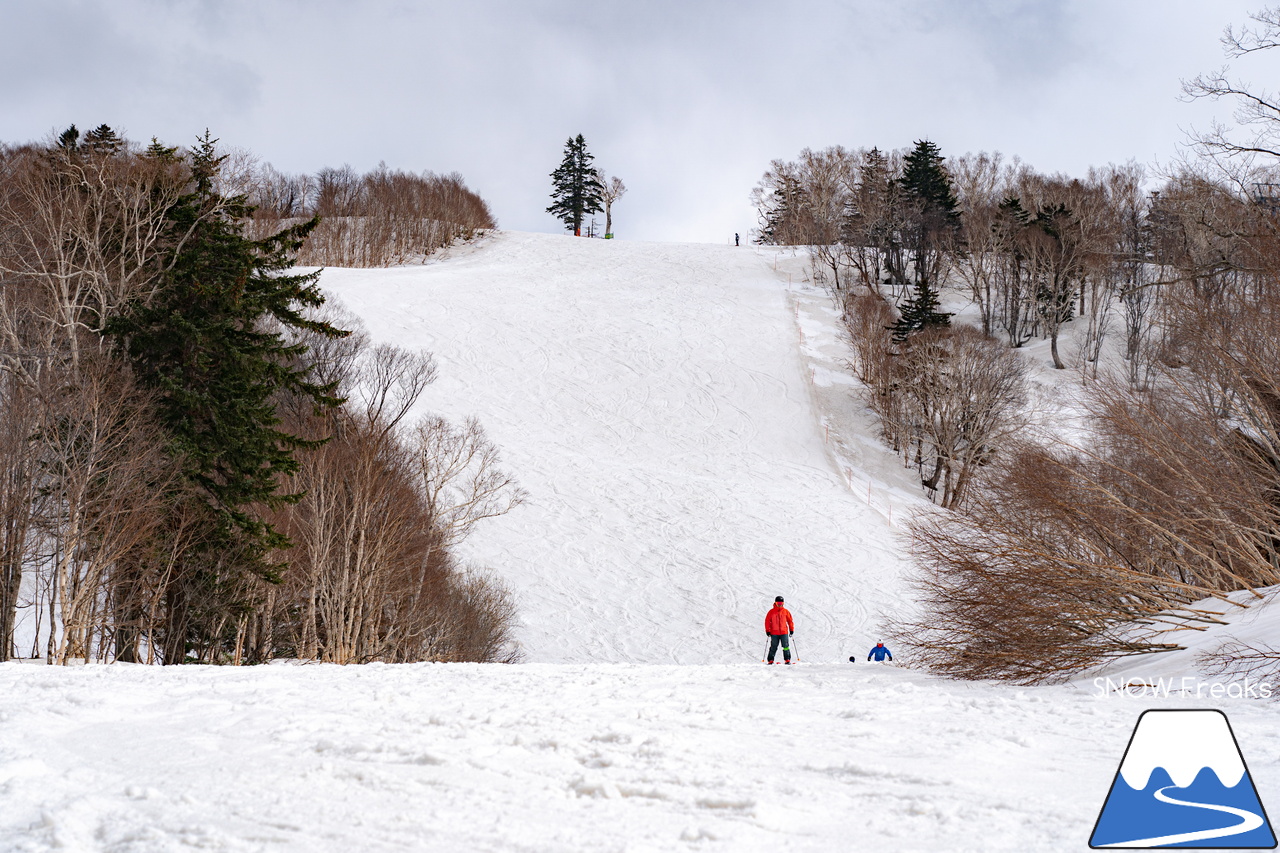 キロロリゾート｜寒波到来で、雪解けはひと休み。滑走距離2,000ｍ級のロングコースを楽しみましょう(^_-)-☆